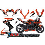 2008-2009 Kawasaki ZX10 Sport Bike Orange Reaper Vinyl Kit - DSC-656465477TS